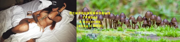 кокс Абдулино