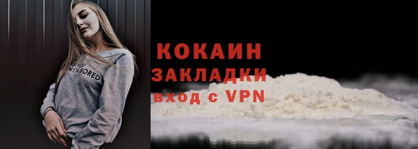 стаф Пересвет
