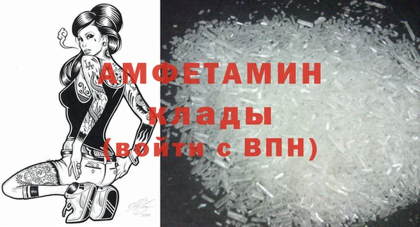 стаф Пересвет